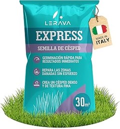 Otras Opciones a las Semillas de Crecimiento Rápido para tu Huerto