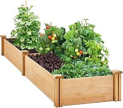 Opciones para cultivar en casa sin kits de huerto urbano