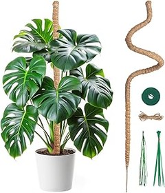Métodos alternativos a los tutores para guiar plantas trepadoras