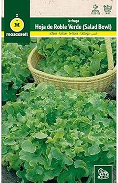 ¿Qué Hacer si tus Semillas de Lechuga No Germinan? Alternativas Efectivas