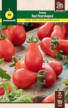 Alternativas a las semillas de tomate: descubre plantas ya crecidas