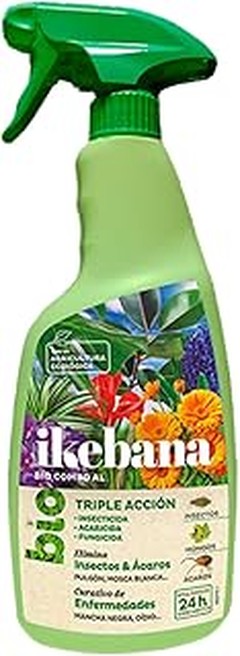 Mejores Alternativas Naturales a los Acaricidas en el Huerto Urbano