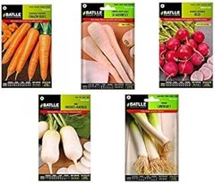Descubre los beneficios de cultivar zanahorias en casa