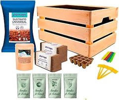 ¿Cuáles son los beneficios de un kit de huerto urbano ecológico?