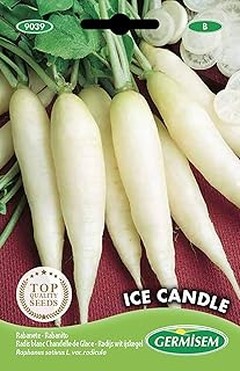 Guía para cultivar rábanos en casa de manera sencilla
