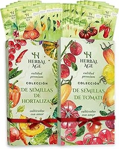 Aprende a Hacer un Semillero de Fresas en Casa de Manera Sencilla