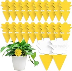 Guía para instalar trampas para mosquitos en plantas