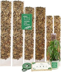 Guía para instalar tutores en plantas trepadoras de forma sencilla