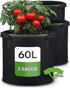 Guía para plantar adecuadamente en macetas pequeñas