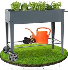 Aprende a plantar hierbas aromáticas en jardineras fácilmente