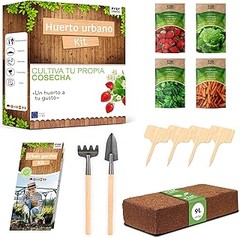 Guía para usar un kit de huerto urbano en casa