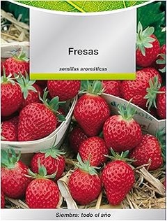 Compara las Mejores Semillas de Fresa para Tu Huerto Urbano