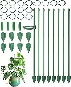 Comparativa de Tutores para Plantas: Mejores Opciones y materiales
