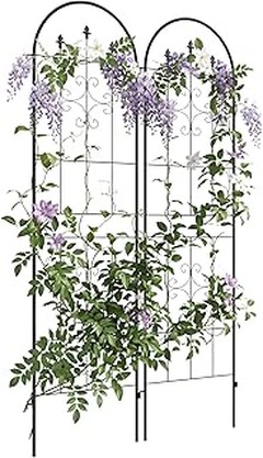 Enrejados de Madera y Metal: ¿Cuál es el mejor para tus plantas trepadoras?
