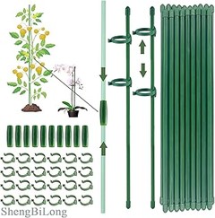 ¿Cuándo y cómo podar las plantas trepadoras de manera efectiva?