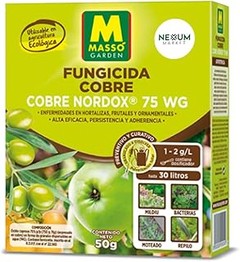 Costos del control de plagas ecológico para huertos urbanos