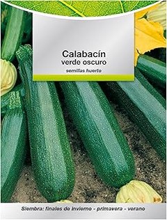Cuidados Esenciales para el Crecimiento de Calabacines desde Semillas