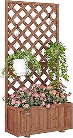 Guía de Cuidados Especializados para Jardineras con Enrejado