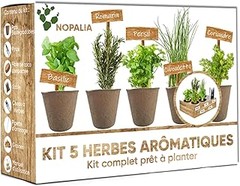Cultivos ideales para tu kit de huerto urbano según la temporada