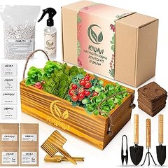 Mejores lugares para comprar kits de huerto urbano con semillas