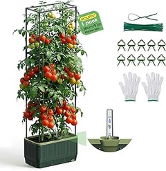 Mejores lugares para comprar macetas para tomates a buen precio