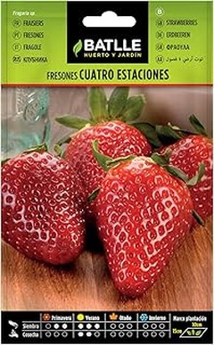 Las mejores tiendas para comprar semillas de fresa para tu huerto urbano