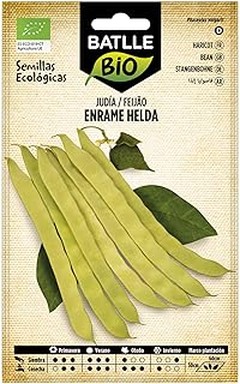 Mejores Lugares para Comprar Semillas Ecológicas para Huertos Urbanos