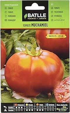 Problemas frecuentes al cultivar tomates y cómo solucionarlos