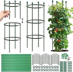 Problemas habituales al utilizar tutores para plantas trepadoras
