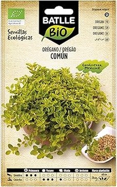 Cómo cultivar semillas ecológicas en casa