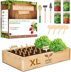 Cómo Elegir el Mejor Kit de Huerto Urbano para Principiantes