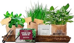 Herramientas que complementan tu kit de huerto urbano de aromáticas