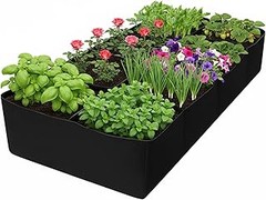 ¿Cuál es la mejor maceta pequeña para tus plantas de interior?
