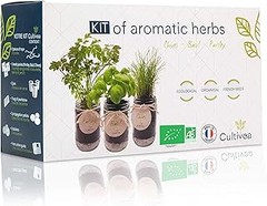 Cómo Mantener y Cuidar Tu Kit de Huerto Urbano Ecológico