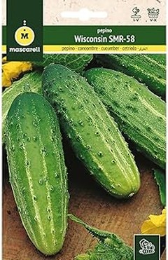 Las mejores semillas de pepino para cultivar en tu huerto urbano en 2023