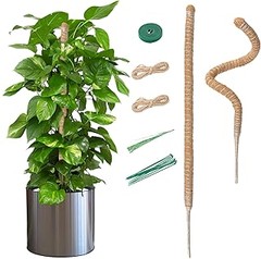 Descubre los mejores tutores para plantas trepadoras según su tipo