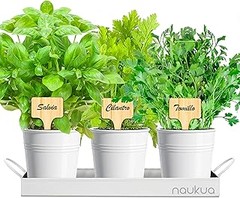 Opiniones de usuarios sobre los kits de huerto urbano más populares