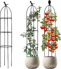 Conoce los Precios de los Enrejados para Plantas Trepadoras