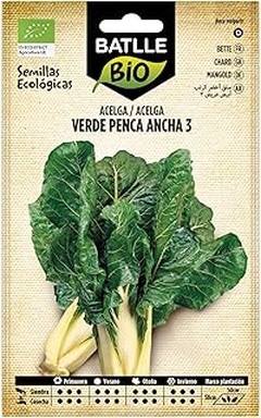 Rango de precios de semillas ecológicas para tu huerto urbano