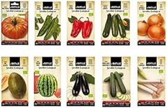 Solucionando los problemas comunes al cultivar calabacines