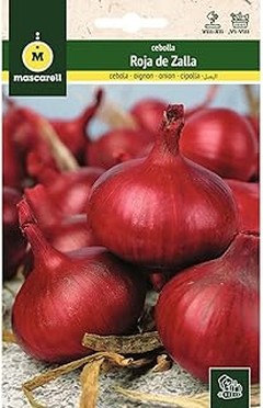 Soluciona los problemas más comunes al cultivar cebollas en casa