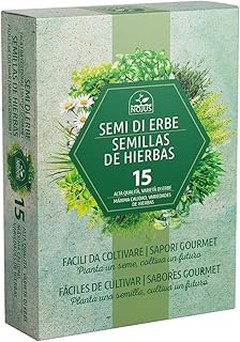 Errores Frecuentes al Cultivar Semillas en Huertos Urbanos y Cómo Solucionarlos