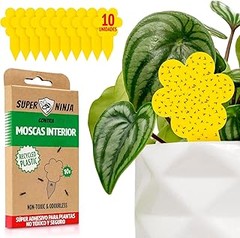 Experiencias Reales sobre la Efectividad de Trampas para Mosquitos en Plantas