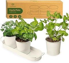 Descubre los tipos de jardineras ideales para cultivar aromáticas