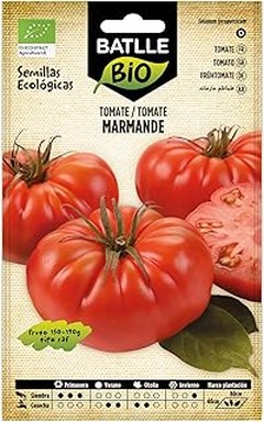 Descubre los Diferentes Tipos de Semillas Ecológicas Disponibles