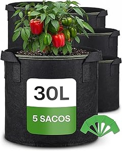 Descubre las ventajas de usar macetas pequeñas en tu huerto urbano