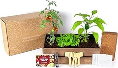 Descubre las ventajas de usar kits de huerto urbano