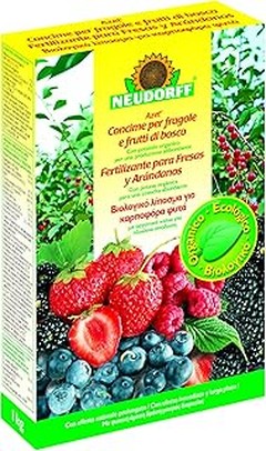 Pros y contras de utilizar abonos orgánicos en fresas