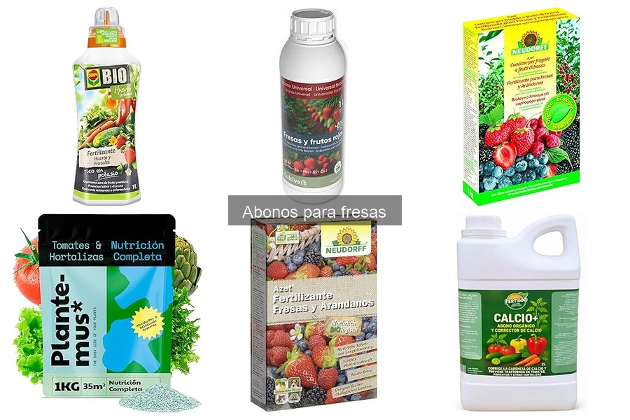 Abonos recomendados para fresas en climas cálidos