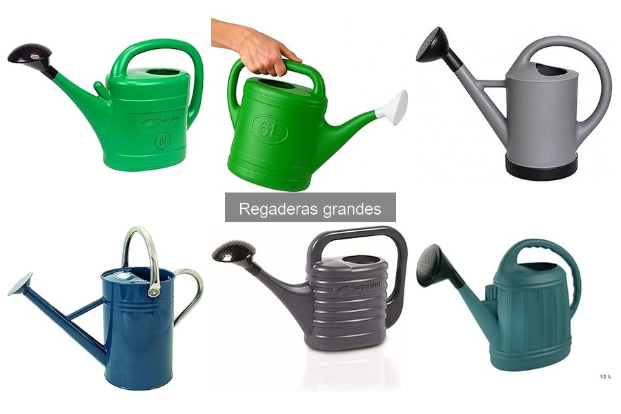 Accesorios útiles para regaderas grandes: Mejora tu riego